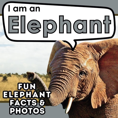 I Am an Elephant A Children's Book with Fun and Educational Animal Facts with Real Photos!
