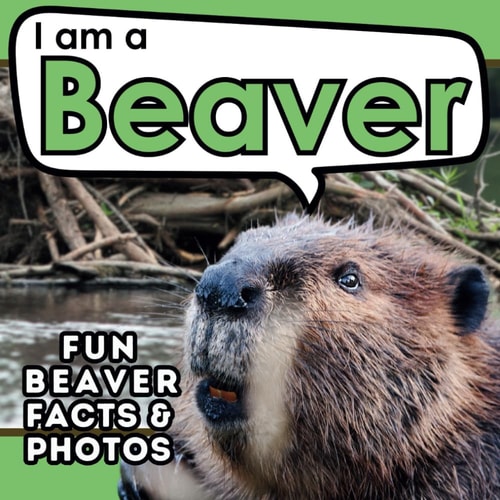 I Am a Beaver A Children's Book with Fun and Educational Animal Facts with Real Photos!