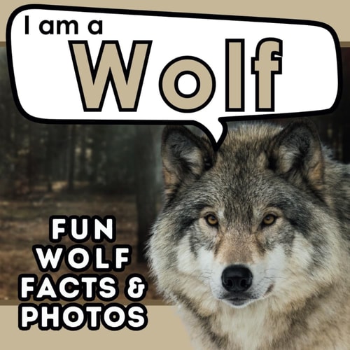 I Am a Wolf A Children's Book with Fun and Educational Animal Facts with Real Photos!