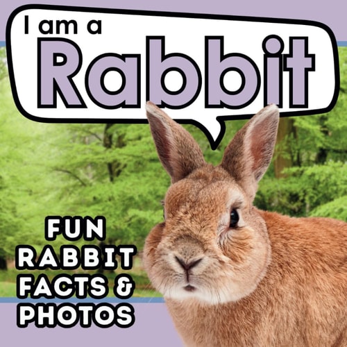 I Am a Rabbit A Children's Book with Fun and Educational Animal Facts with Real Photos!