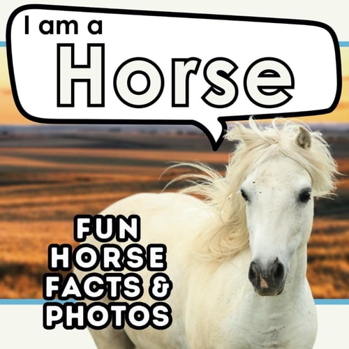 I Am a Horse A Children's Book with Fun and Educational Animal Facts with Real Photos!