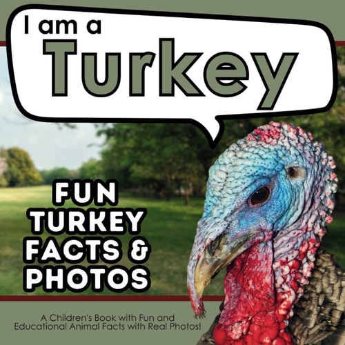 I Am a Turkey A Children's Book with Fun and Educational Animal Facts with Real Photos!