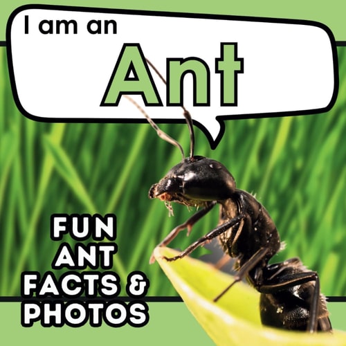 I Am an Ant A Children's Book with Fun and Educational Animal Facts with Real Photos!