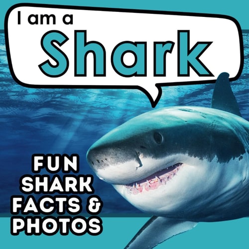 I Am a Shark A Children's Book with Fun and Educational Animal Facts with Real Photos!