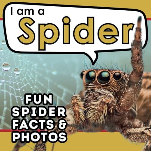I Am a Spider A Children's Book with Fun and Educational Animal Facts with Real Photos!
