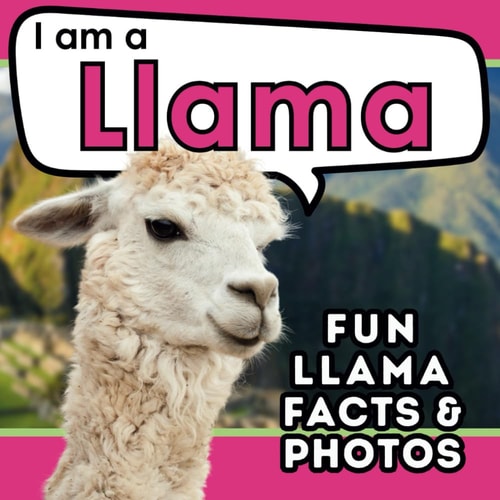 I Am a Llama A Children's Book with Fun and Educational Animal Facts with Real Photos!