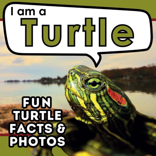 I Am a Turtle A Children's Book with Fun and Educational Animal Facts with Real Photos!