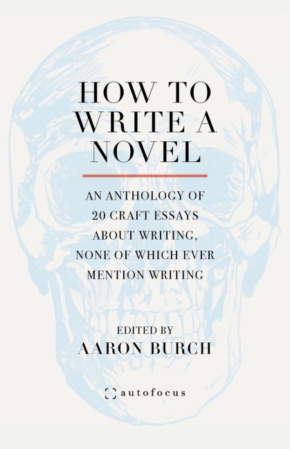 How to Write a Novel: An Anthology of 20 Craft Essays about Writing, None of Which Ever Mention Writing