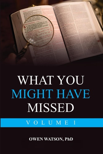What You Might Have Missed Volume 1