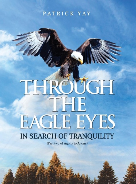 Through the Eagle Eyes: Part Two of Agony to Agony