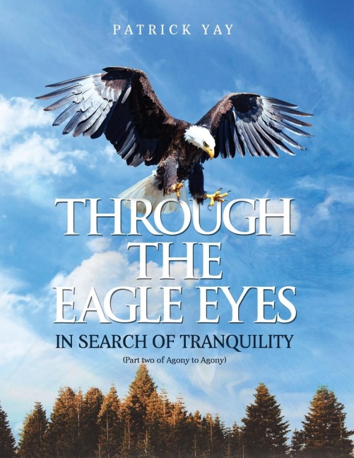 Through the Eagle Eyes: Part Two of Agony to Agony