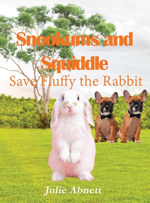 Snookums and Squiddle: Save Fluffy the Rabbit