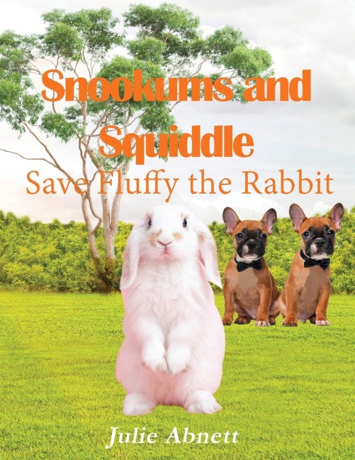 Snookums and Squiddle: Save Fluffy the Rabbit