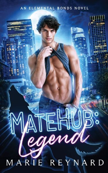 MateHub: Legend