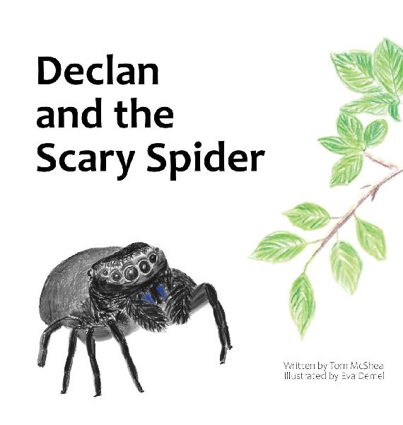Declan and the Scary Spider