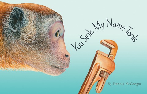 You Stole My Name: Tools: A Rhyming Book of Tools & Animals That Sound Alike