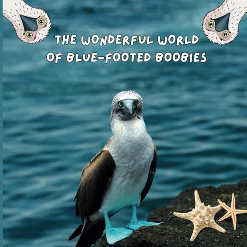 The Wonderful World of Blue-footed Boobies Interesting Facts About Blue-footed Boobies