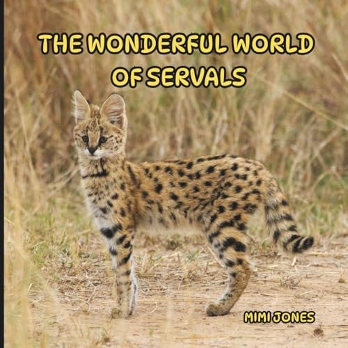 The Wonderful World of Servals Interesting Facts About Servals