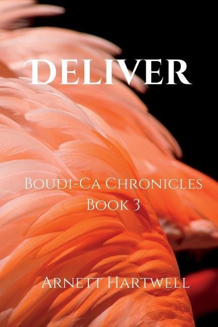 Deliver Boudi-Ca Chronicles Book 3