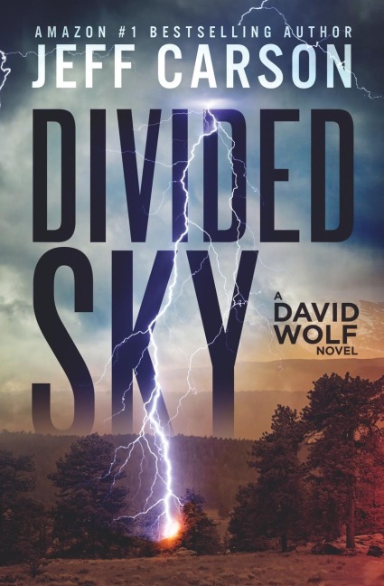 Divided Sky: David Wolf Mystery Thriller Series