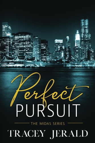Perfect Pursuit A Small Town, Age-gap, Friends to Lovers, Secret Relationship Romance