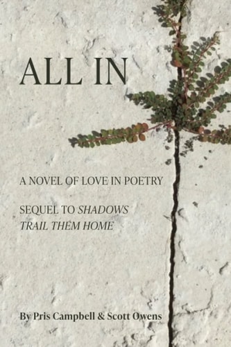 All In A Novel of Love in Poetry
