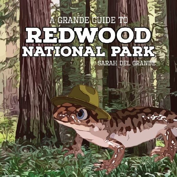 Redwood National Park: A Grande Guide