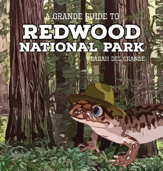 Redwood National Park: A Grande Guide