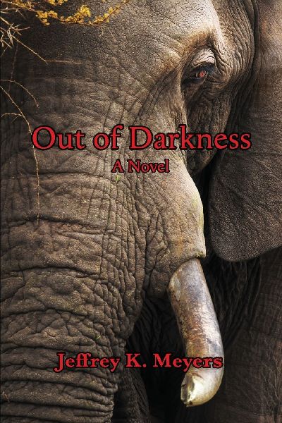 Out of Darkness: A Novel