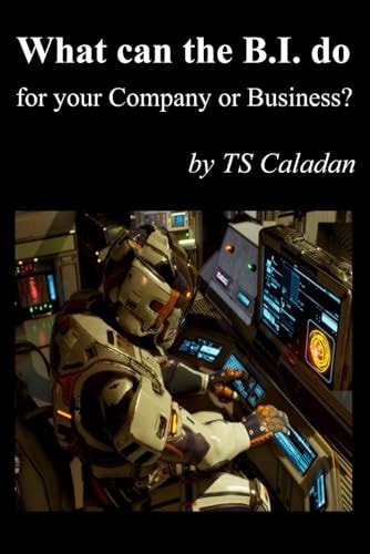 What Can the B.I. Do for Your Company Or Business