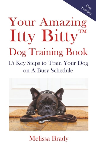 Your Amazing Itty Bitty(TM) Dog Training Book 15 Key Steps to Train Your Dog on a Busy Schedule