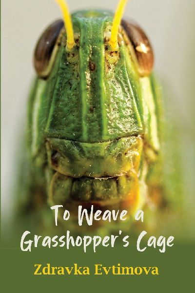 To Weave a Grasshoppers Cage