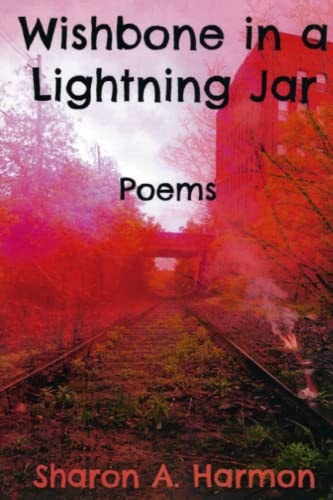 Wishbone in a Lightning Jar Poems