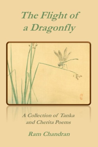 The Flight of a Dragonfly