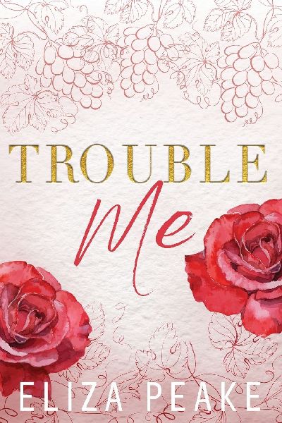 Trouble Me: A Small Town, Workplace Romance