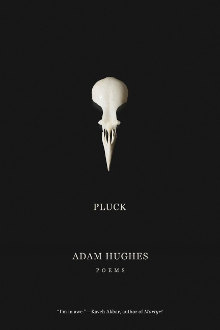 Pluck