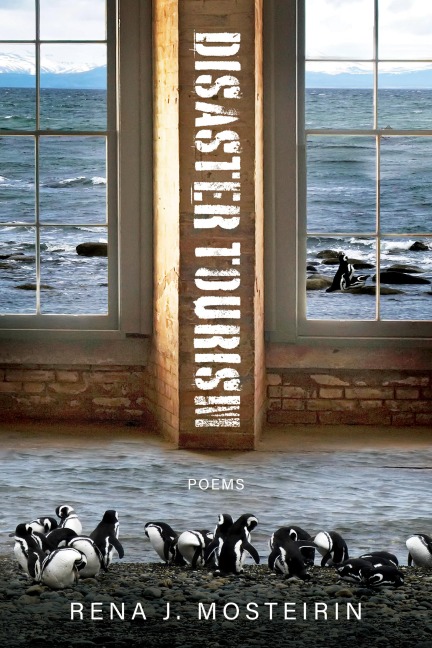 Disaster Tourism
