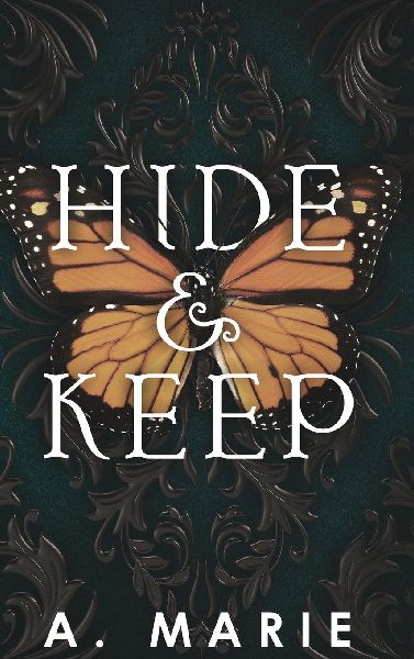 Hide and Keep: An enemies to lovers bodyguard romance