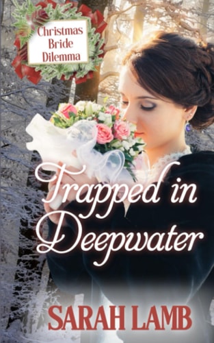 Trapped in Deepwater Christmas Bride Dilemma (Book 4)