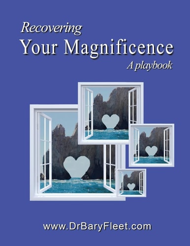 Recovering Your Magnificence A Playbook