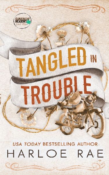 Tangled in Trouble: A Grumpy Single Dad Small Town Standalone