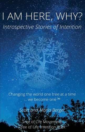 I Am Here, Why? Introspective Stories of Intention
