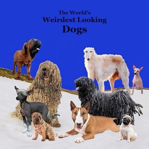 Weirdest Looking Dogs in the World Kids Book Great Way for Children to Meet the World's Weirdest Looking Dogs