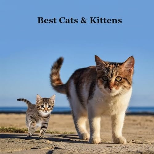 Best Cats and Kittens for Kids Book Great Way for Children to Meet the Best Pet Cat and Kitten Breeds