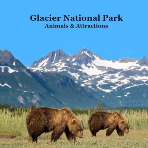 Glacier National Park Animals and Attractions Kids Book Great Way to See the Glacier Park Animals and Attractions