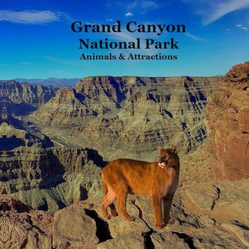 Grand Canyon Park Animals and Attractions Kids Book Great Way for Kids to See the Grand Canyon National Park