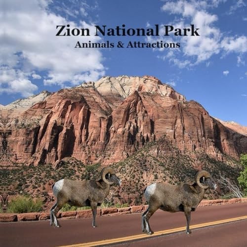 Zion National Park Animals and Attractions Kids Book Great Way for Children to See Zion National Park