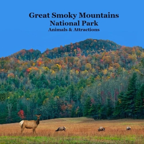 Great Smoky Mountains National Park Kids Book Great Way for Kids to See the Animals and Attractions in Smoky Mountains National Park