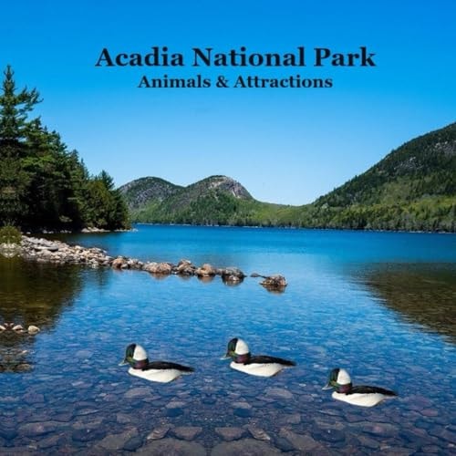 Acadia National Park Animals and Attractions Kids Book Great Way for Kids to See the Animals and Attractions in Acadia National Park