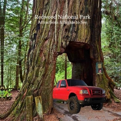 Redwood National Park Attractions and Sights to See Kids Book Great Way for Children to See Redwood National Parks